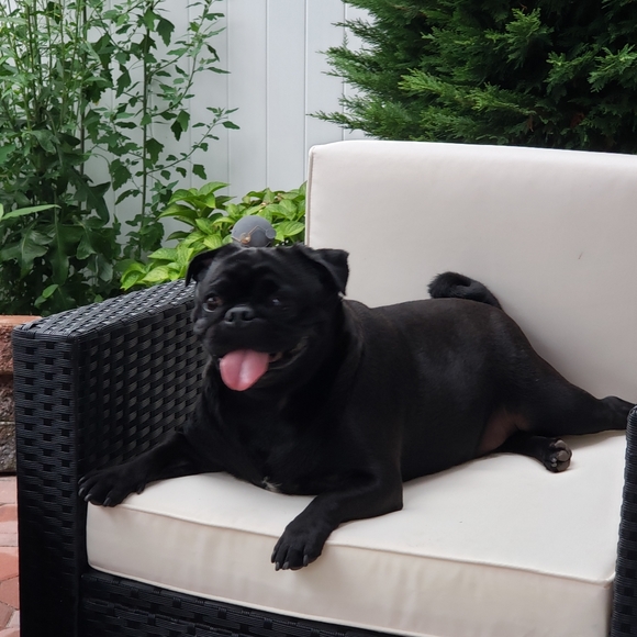 Meet your Posher, Francine - Picture 3 of 4